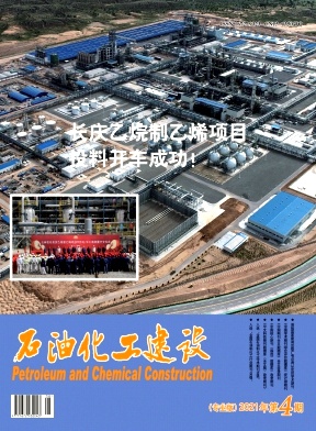 ʯͻ衷2021.S2
